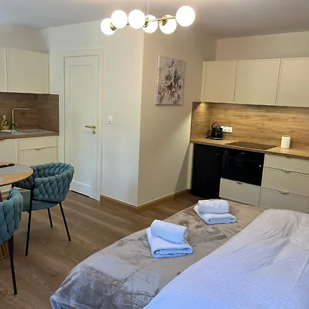 Lesna Przystan Kazub Nr 11 Apartmán